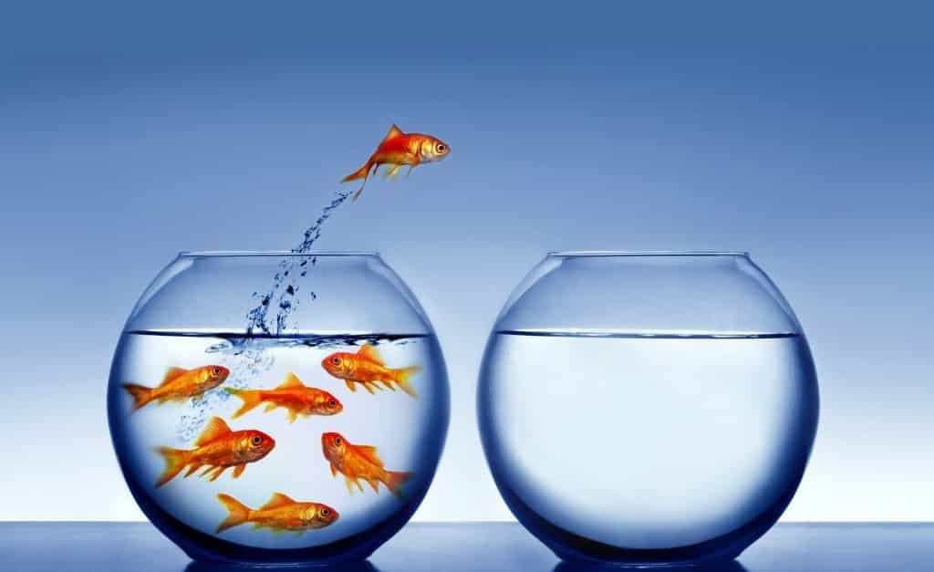 Entreprenuer